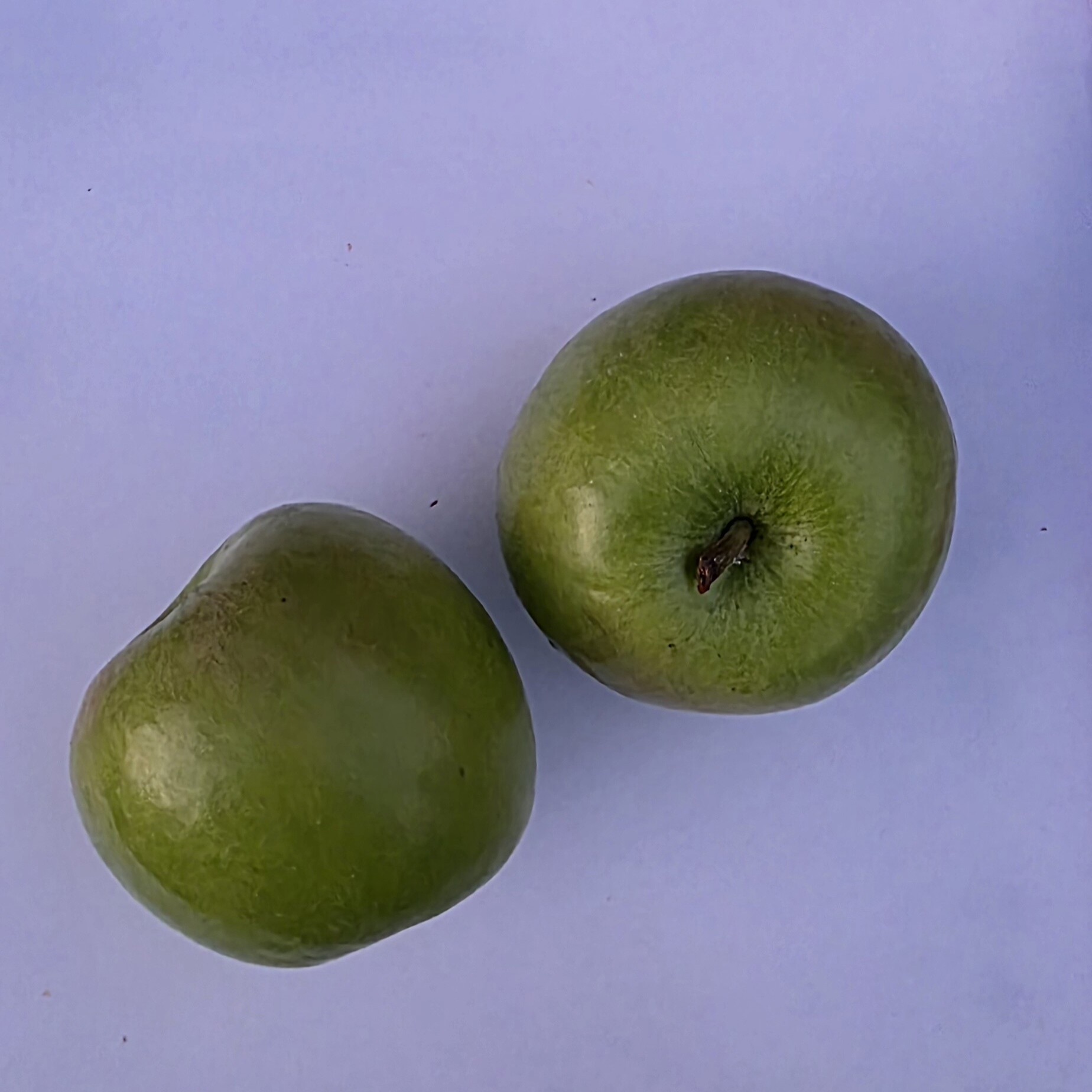 Delightfully Fresh Organics Certified Organic Apples - Granny Smith