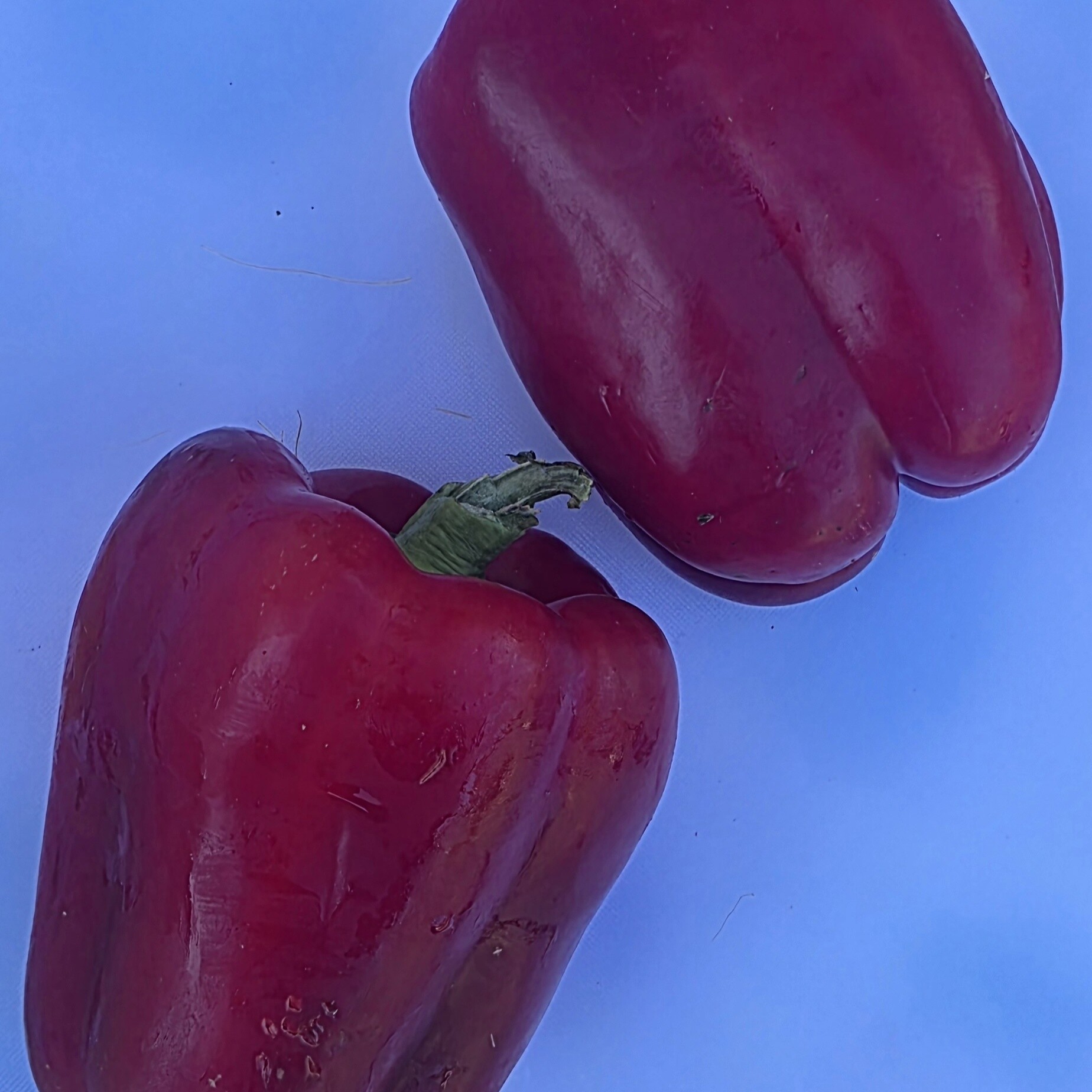 Delightfully Fresh Organics Certified Organic Capsicum - Red, view 2 of 2