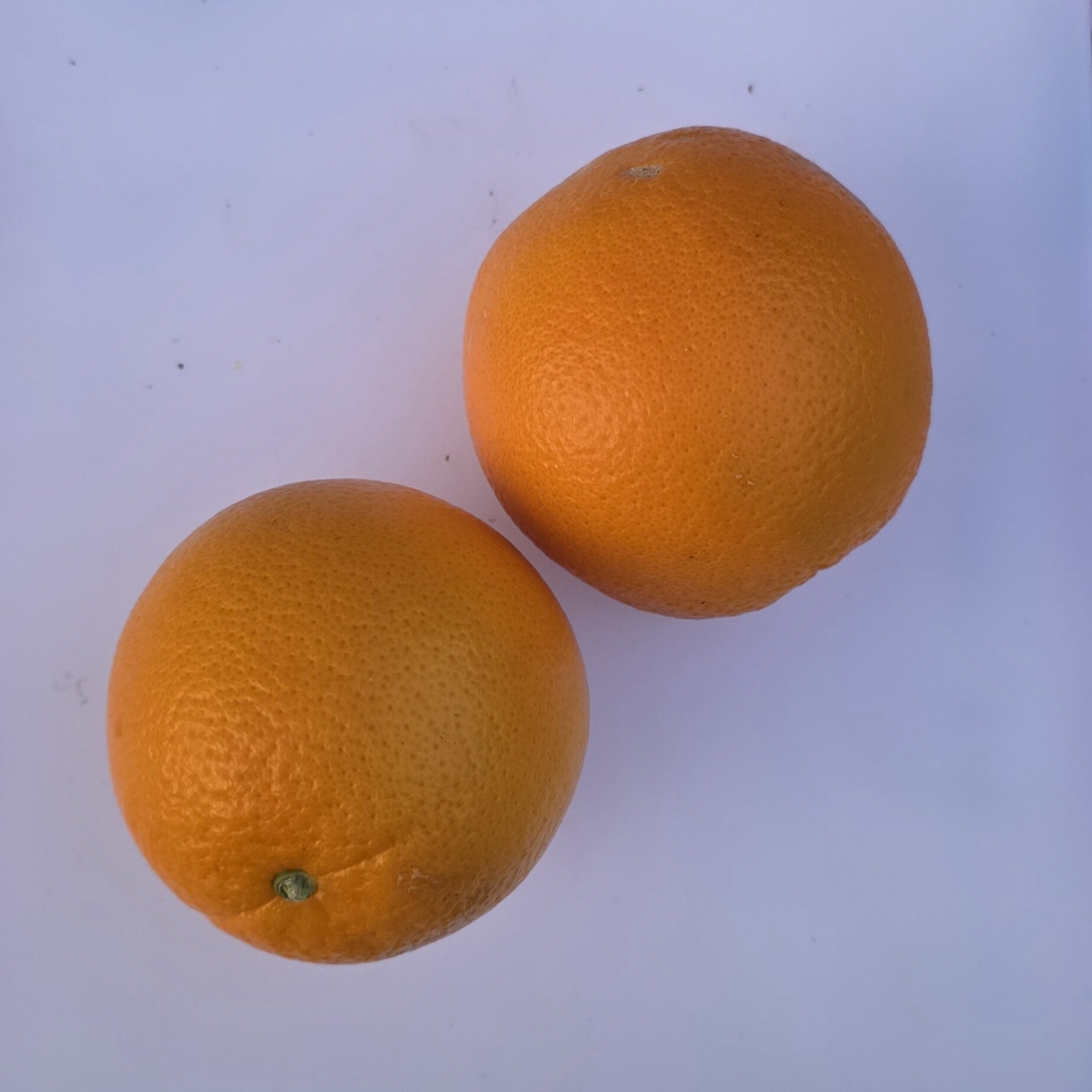 Delightfully Fresh Organics Certified Organic Oranges - Navel