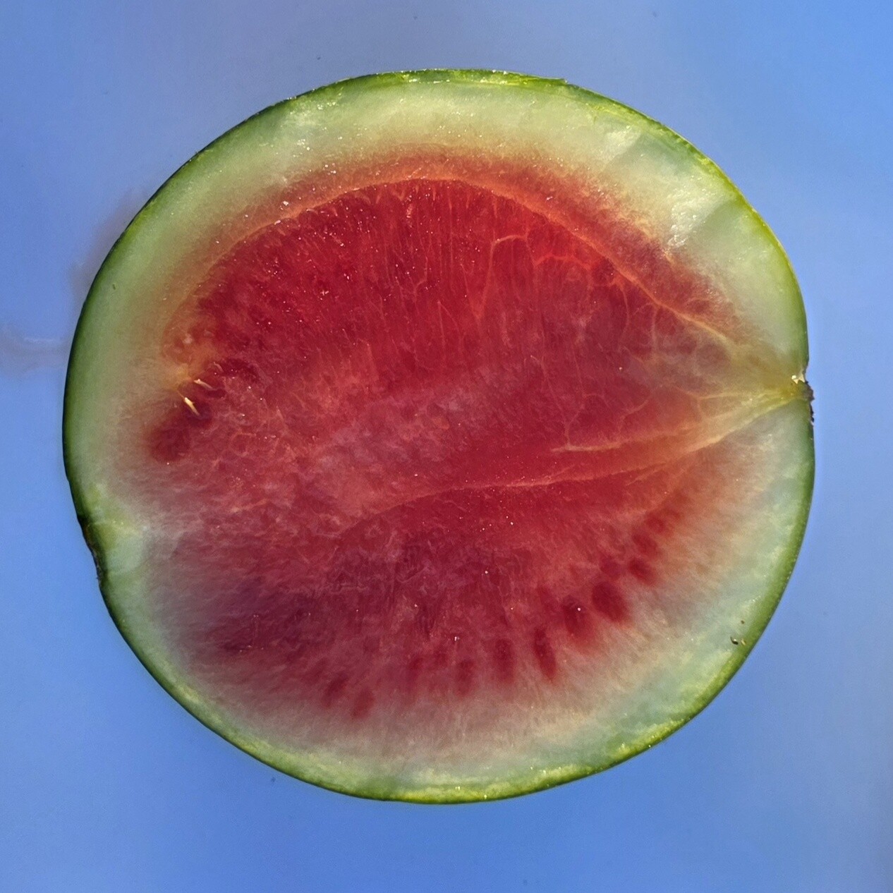 Delightfully Fresh Organics Certified Organic Watermelon - Seedless 1kg