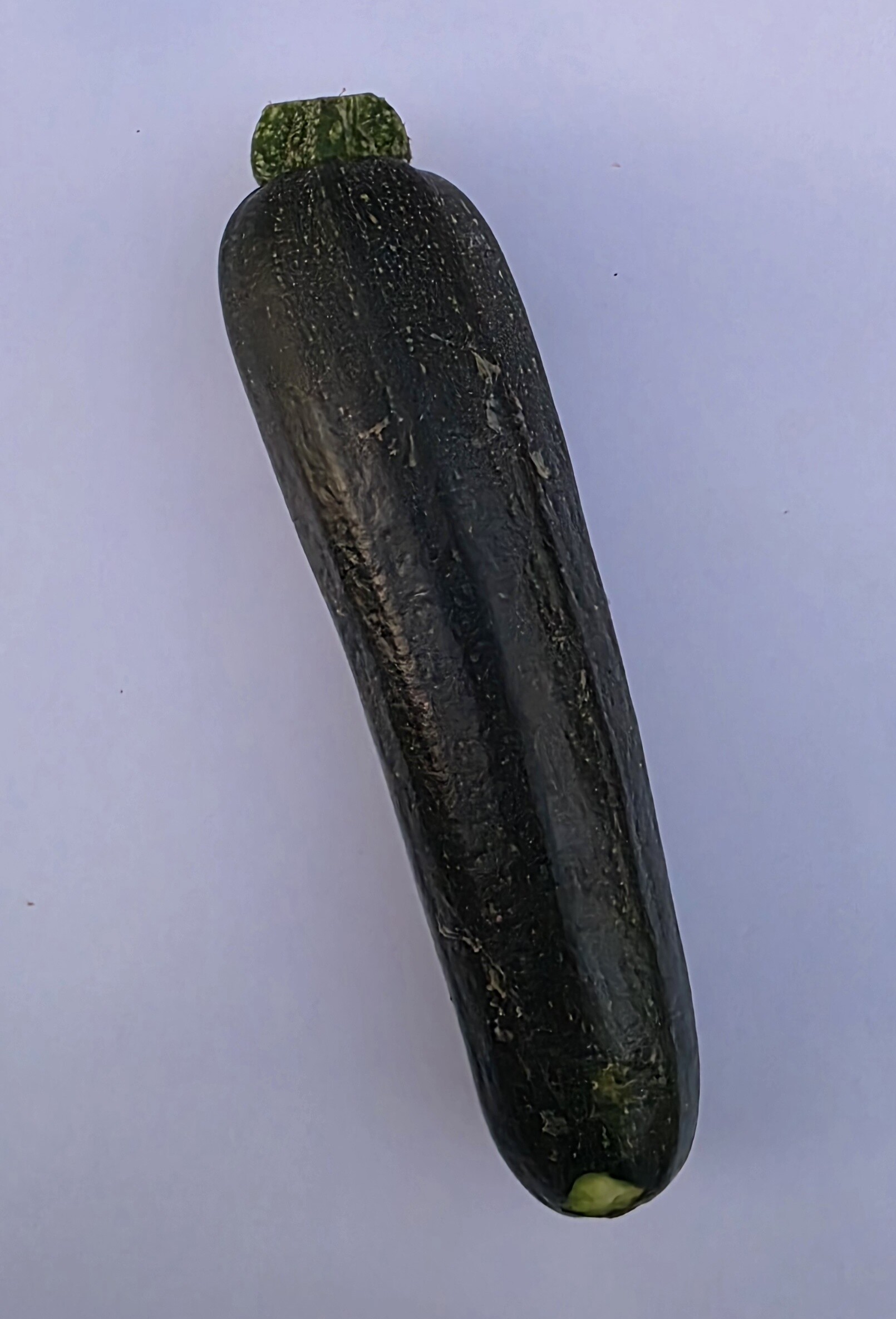 Delightfully Fresh Organics Certified Organic Zucchini 1kg